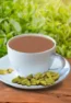 tea-with-elaichi-1000x1000-500x500